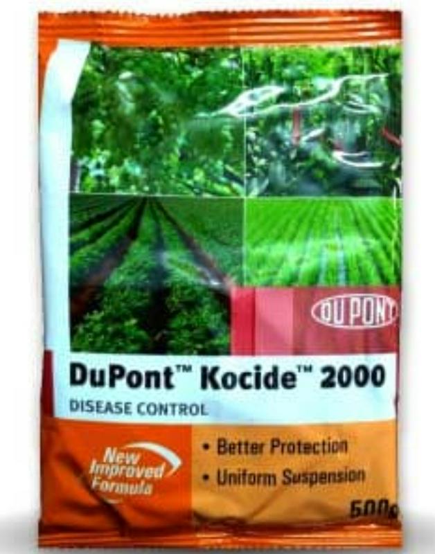 Dupont Kocide 2000 Fungicide Bighaat Com